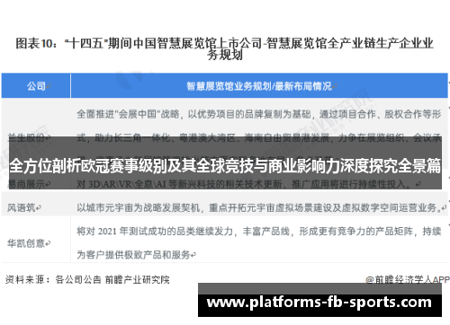 全方位剖析欧冠赛事级别及其全球竞技与商业影响力深度探究全景篇