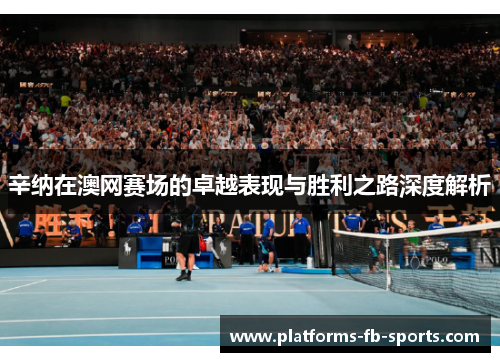辛纳在澳网赛场的卓越表现与胜利之路深度解析